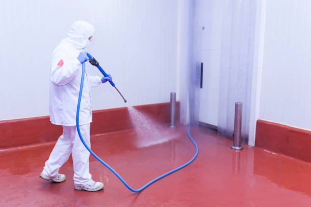 Best Sidewalk and Walkway Cleaning  in Stinnett, TX